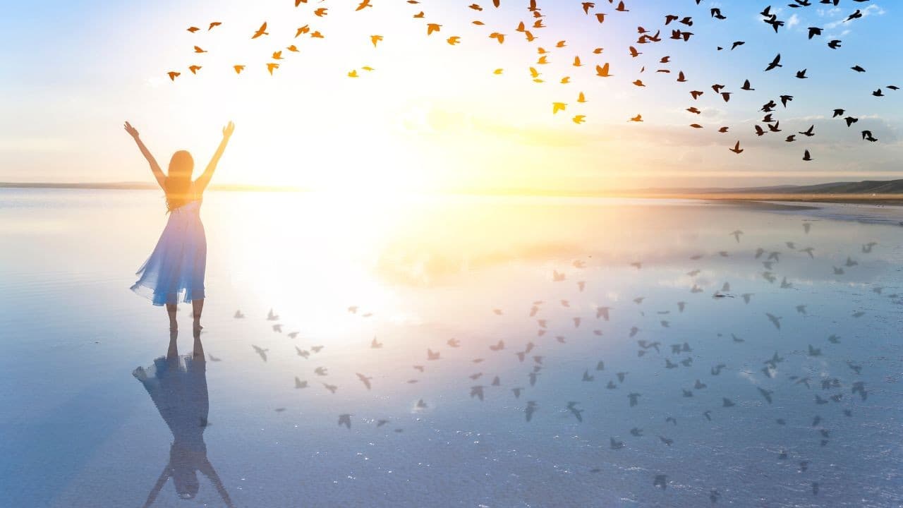 Envol d'oiseaux symbolisant la libération et la transformation